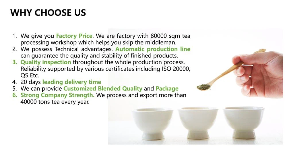 why choose us